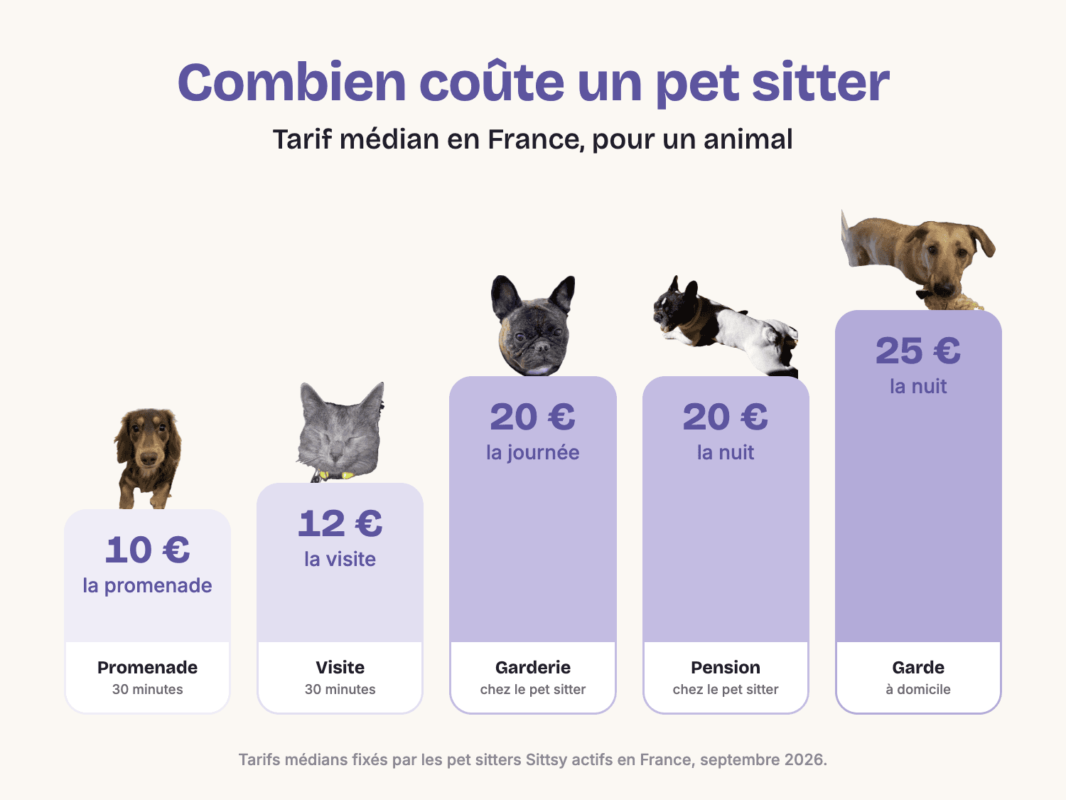 Tarif médian d'un pet sitter en France pour un animal : promenade 10 €, visite 12 €, garderie 20 € la journée, pension 20 € la nuit, garde à domicile 25 € la nuit